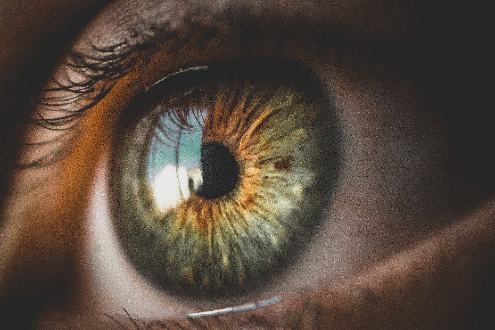 Il tuo occhio dominante: sapere qual’è per una fotografia migliore